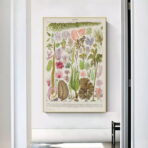 affiche algue vintage