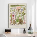 affiche algue vintage