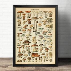cartel de setas vintage