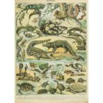 cartel viejo de reptiles