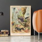 affiche animaux marins ocean vintage