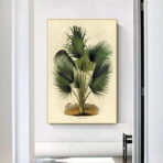 affiche botanique vintage palmier