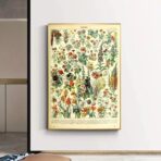 affiche botanique vintage