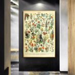 affiche botanique vintage