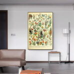 affiche botanique vintage