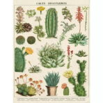 affiche cactus vintage