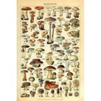 cartel de setas vintage