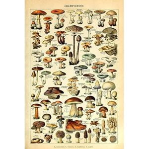 cartel de setas vintage