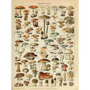 cartel de setas vintage 1