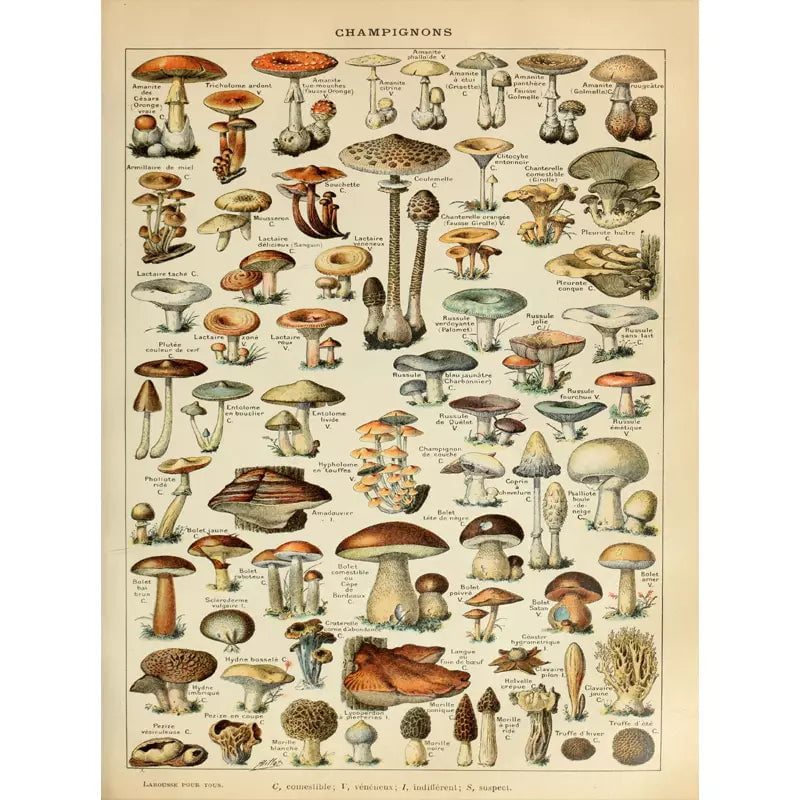 cartel de setas vintage 1 cartel de setas vintage 1