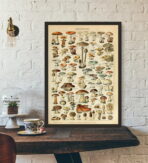 cartel de setas vintage 1