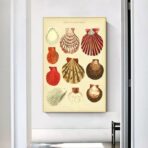 cartel de concha vintage