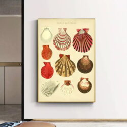 cartel de concha vintage