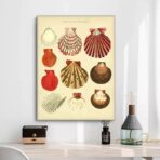 cartel de concha vintage