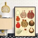 cartel de concha vintage
