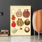 cartel de concha vintage