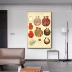 cartel de concha vintage