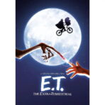 cartel pelicula y