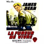 cartel pelicula el fureur de vivre