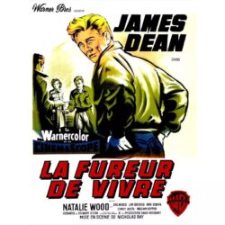cartel pelicula el fureur de vivre