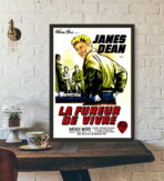 cartel pelicula el fureur de vivre