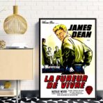 cartel pelicula el fureur de vivre