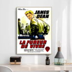 cartel pelicula el fureur de vivre