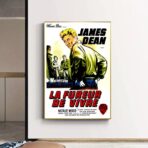 cartel pelicula el fureur de vivre