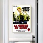 cartel pelicula el fureur de vivre