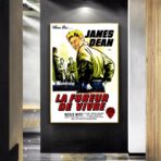 cartel pelicula el fureur de vivre