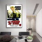 cartel pelicula el fureur de vivre