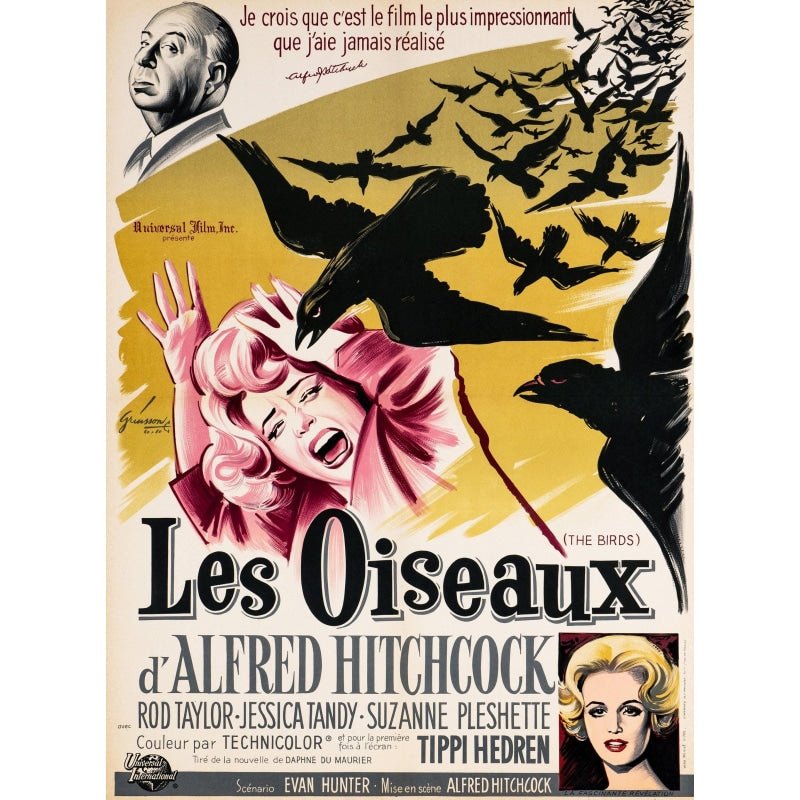 cartel pelicula los pajaros hitchcock cartel pelicula los pajaros hitchcock
