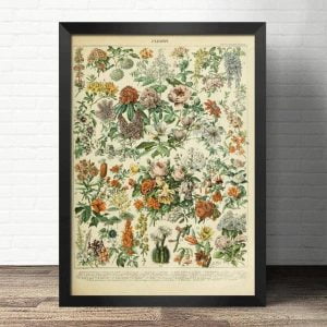 cartel flores vintage