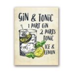 cartel de gin tonic
