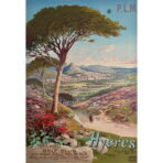 cartel hyeres