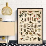 cartel de insectos vintage 1