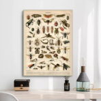 cartel de insectos vintage 1