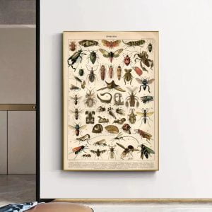 cartel de insectos vintage 1