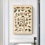 cartel de insectos vintage 1