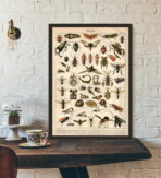 cartel de insectos vintage 1