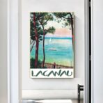 cartel lacanau