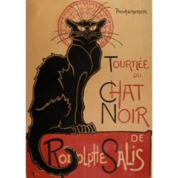 cartel el gato negro