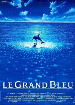 muestra el gran azul