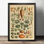 cartel vegetal vintage