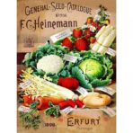 cartel vegetal vintage 1