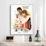 cartel el hombre de rio