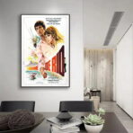cartel el hombre de rio