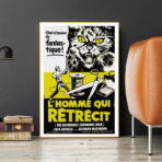 cartel el hombre que encoge