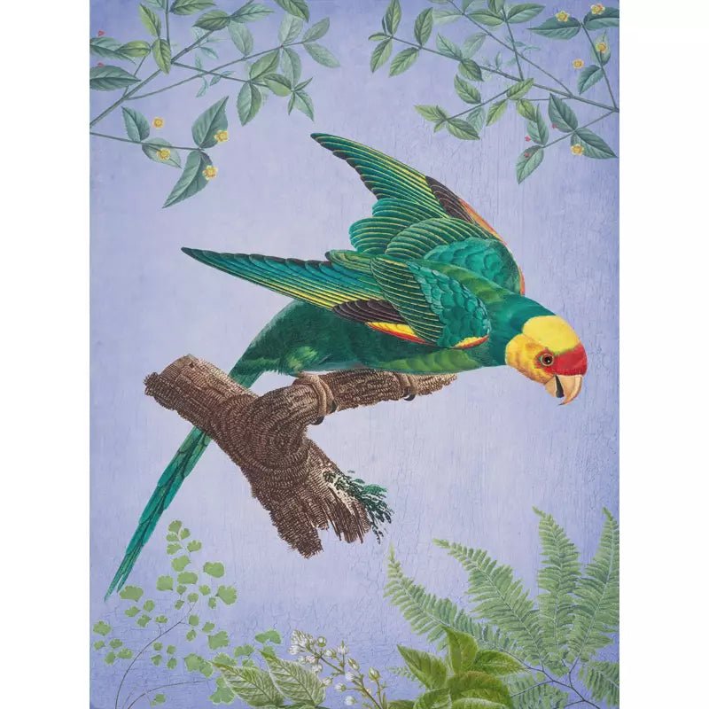 cartel de pajaros vintage 1 cartel de pajaros vintage 1