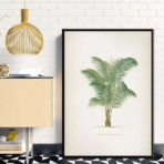 cartel de palma vintage